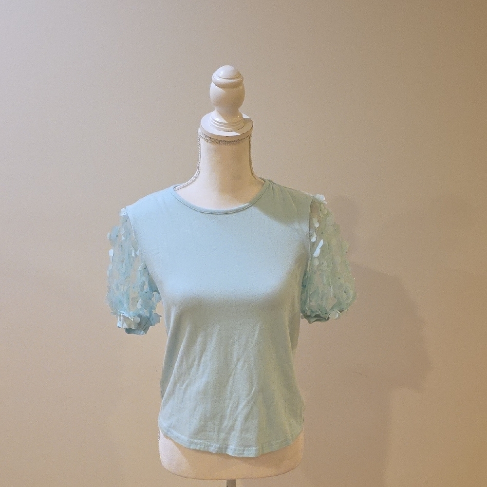 Women's Top with Sheer Sleeves